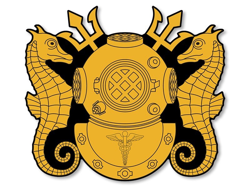 3×4 inch GOLD Navy Diving MEDICAL Officer Logo Sticker (diver decal) Navy Lic.