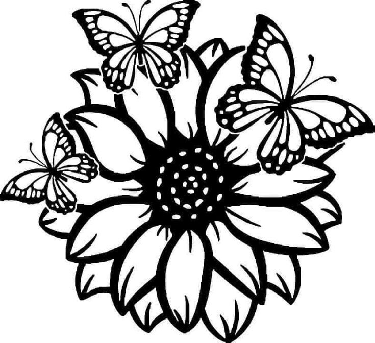 decals vinyls