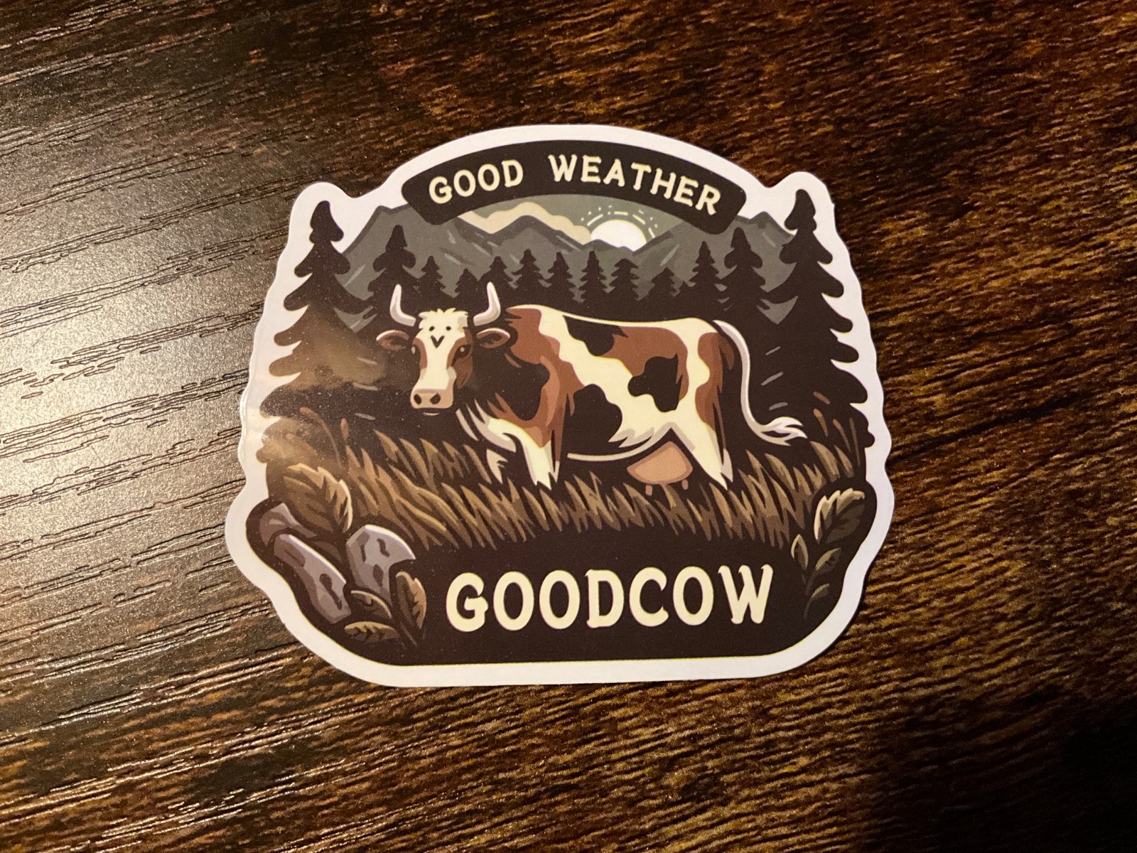 Motorcycle Sticker for Helmets or toolbox #10,630