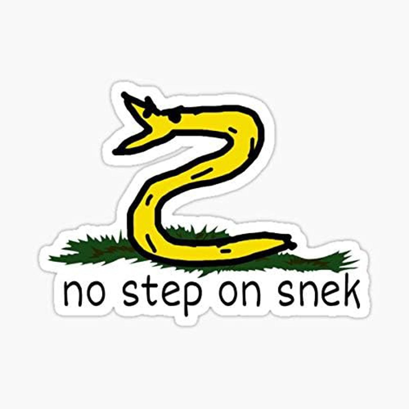 No Step On Snek Sticker – 5.0″ x 5.0″ Wall, Laptop, Cell, Truck Windows, Cars