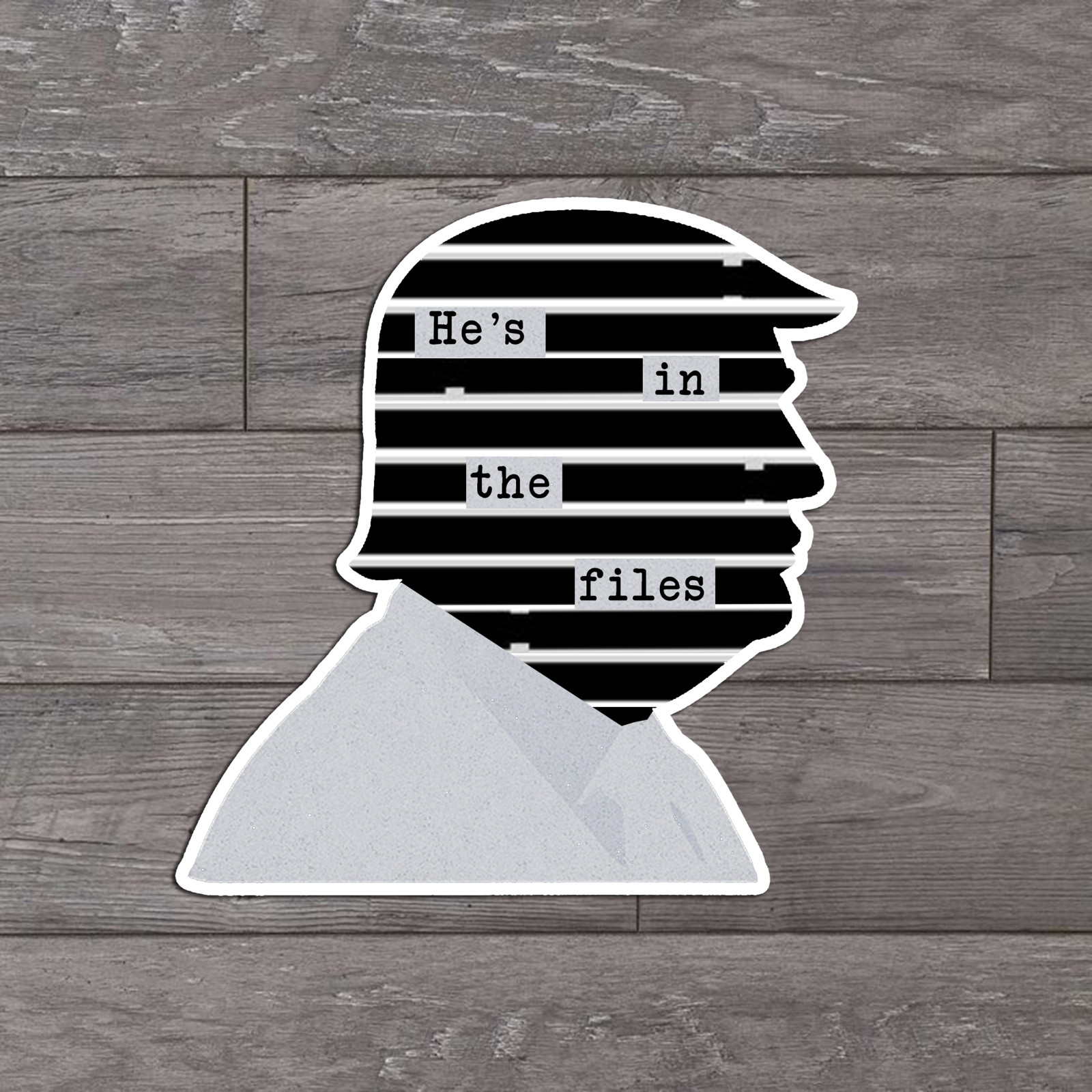He’s in the Files, Epstein, Die Cut Sticker, Funny, Liberal, FDT, Anti Trump
