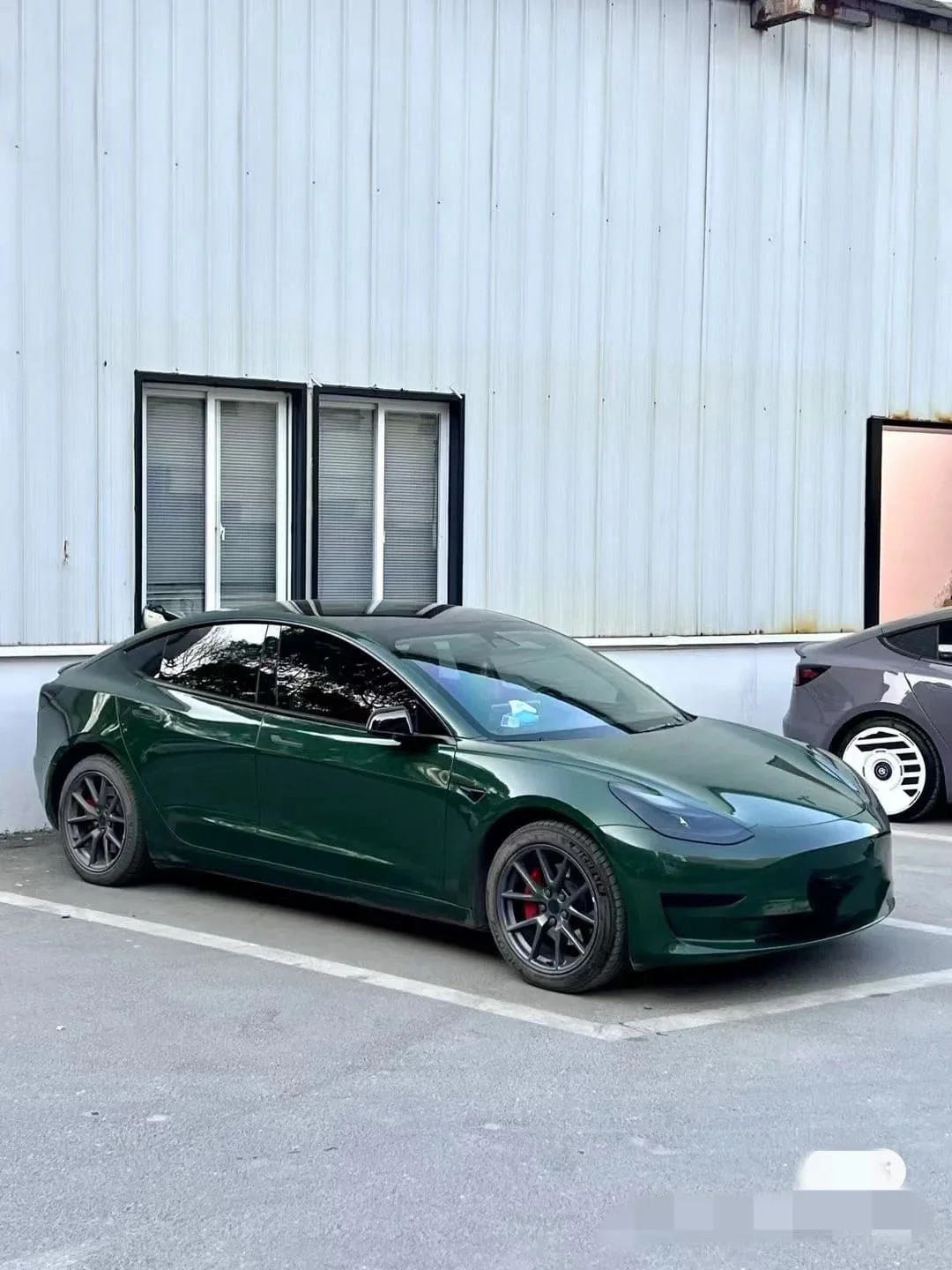 Hell Green Color PPF