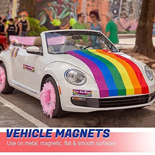 Im so Gay I Cant Even Drive Straight -Reflective Car Auto Bumper Magnet -Hilario