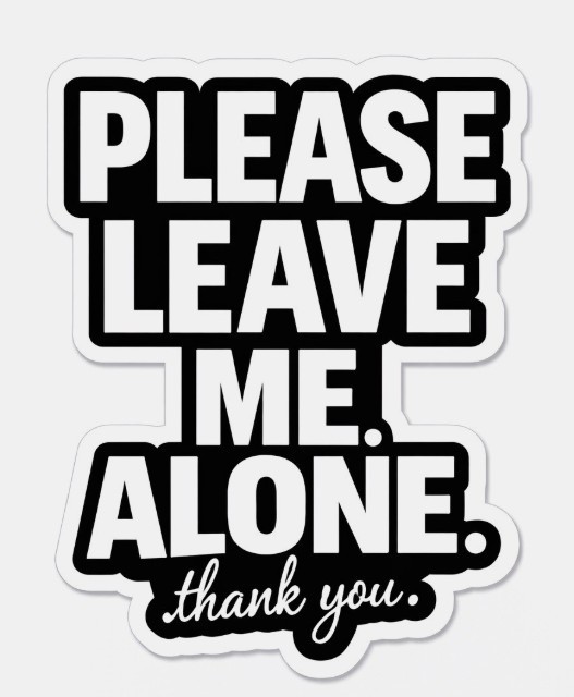 Leave Me Alone Funny Phone Sticker (2 Inch) Cool Waterproof Vinyl Decal