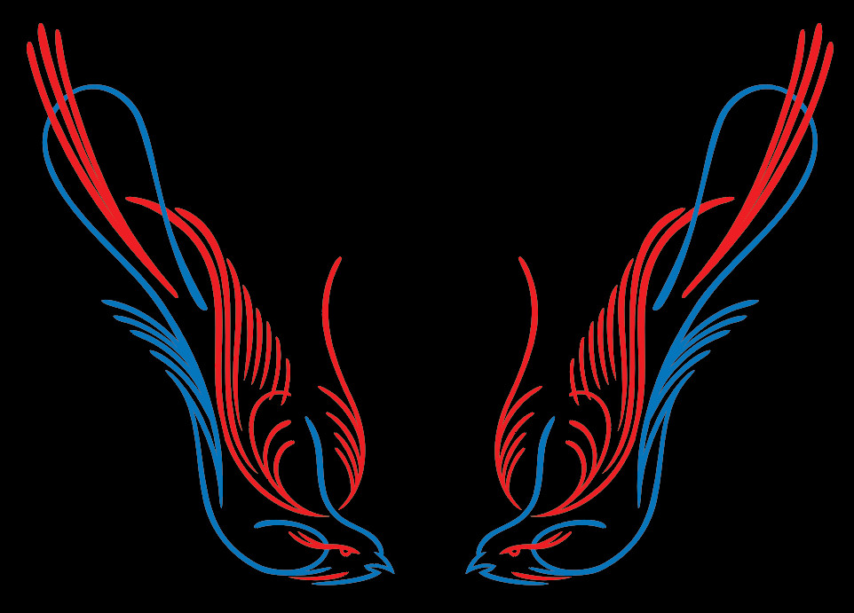 Hot Rod Pinstriping Bird Decals – Set of 2 – 11″ x 4″ – Ships Free! – 2 colors