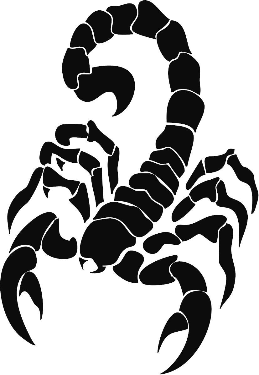 Scorpion 3 Mil Vinyl Sticker for Car or Truck Window