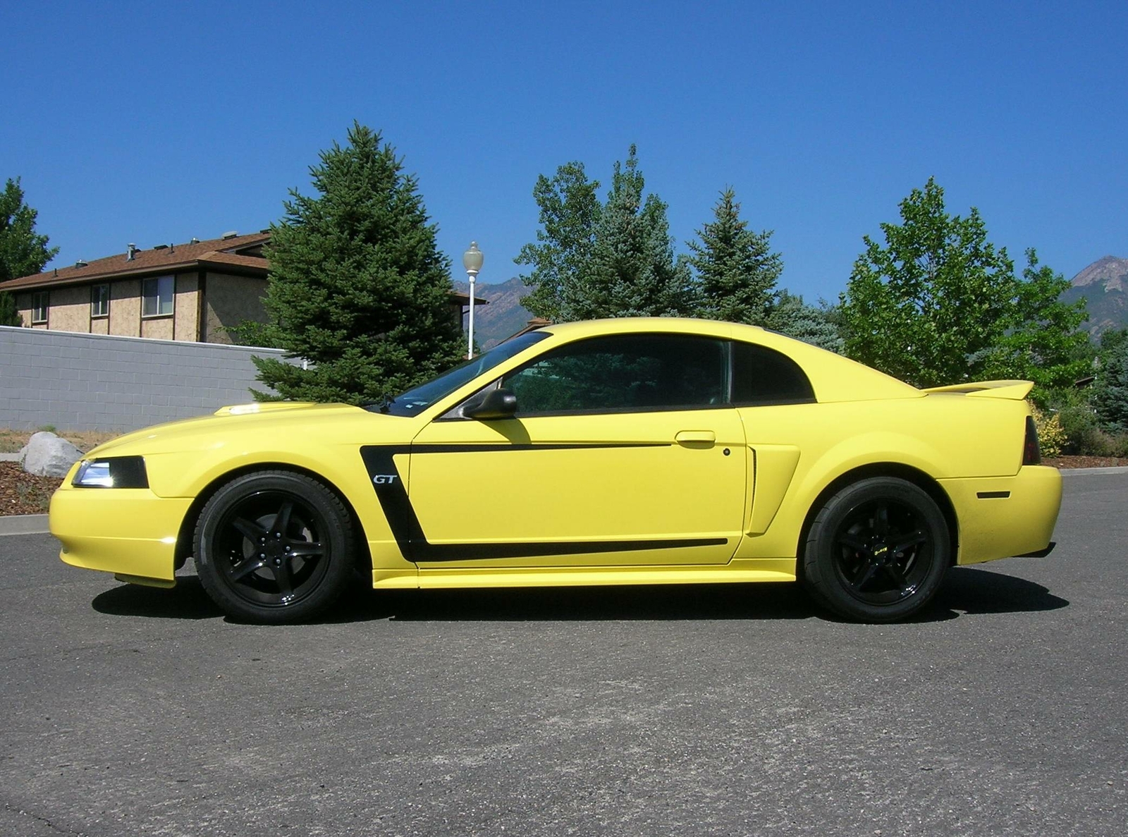 1999-2004 FORD MUSTANG C-STRIPES DECALS STICKER VINYL GRAPHICS GT V6 99-04 PAIR