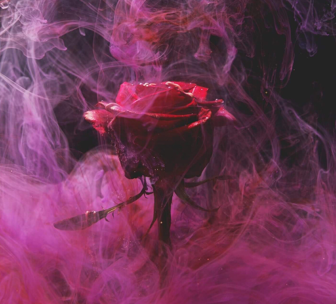 2.5” Red Rose Sticker Love Flower Smoke Imagination Passion Visualization