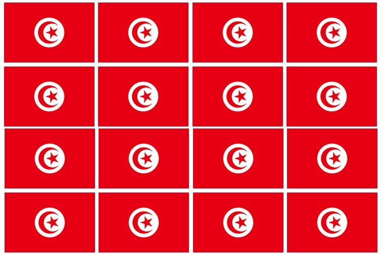 12Pcs Tunisia World Country Flags Vinyl Sticker Decals – 2″ Each
