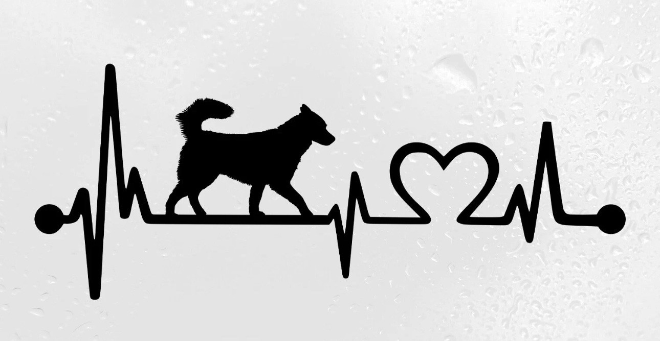 Husky Heartbeat Vinyl Decal Heart Love Siberian Dog Puppy Sticker 8” White