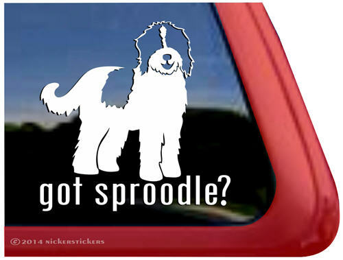 Got Sproodle?- Sproodle Window Decal
