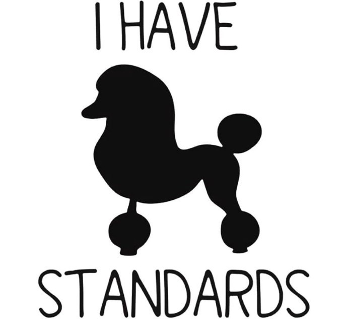 I Have Standards Sticker (5 Inch) Waterproof Adhesive Peel & Stick Car Bumper