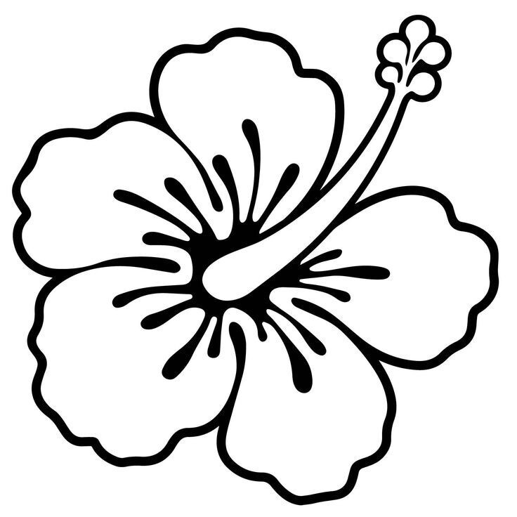 decals vinyls