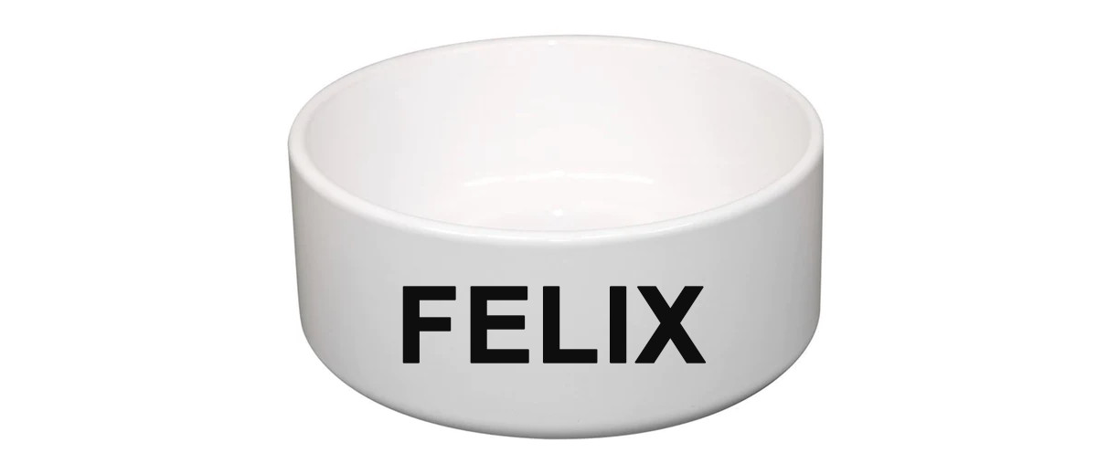 2X Name Decal Custom Vinyl Sticker for Cat or Dog Bowls Weatherproof 7Yr
