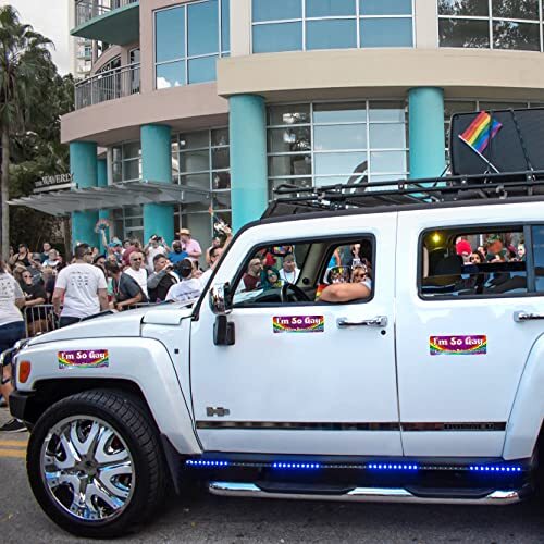 Im so Gay I Cant Even Drive Straight -Reflective Car Auto Bumper Magnet -Hilario