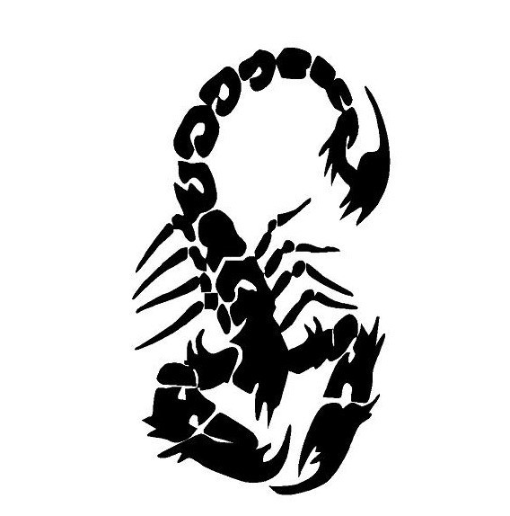 SCORPION #51 DECAL HOOD TAIL GATE CAR TRUCK SUV AUTO VAN TRAILER SEMI VEHICLE